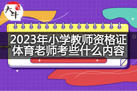 2023年小学教师资格证体育老师