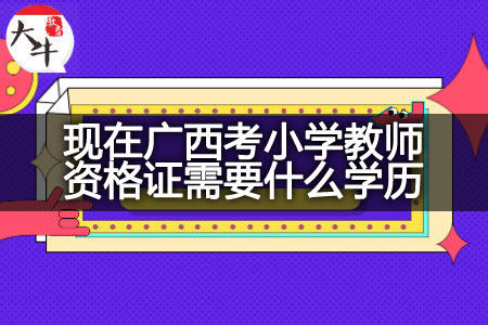 现在广西考小学教师资格证学历