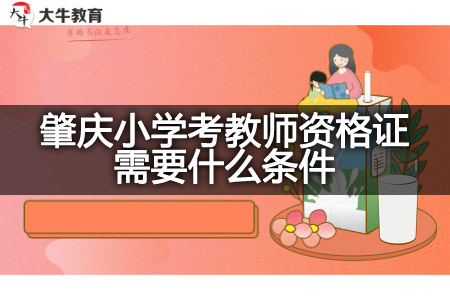 肇庆小学考教师资格证条件