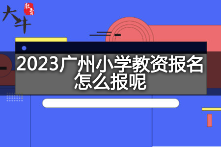 2023广州小学教资报名