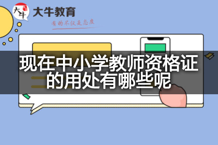 现在中小学教师资格证的用处