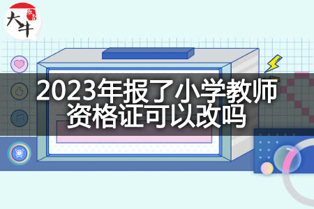 2023年报了小学教师资格证