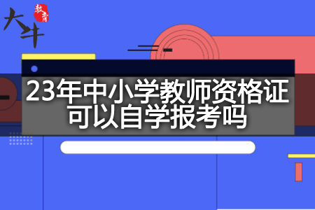 23年中小学教师资格证自学报考