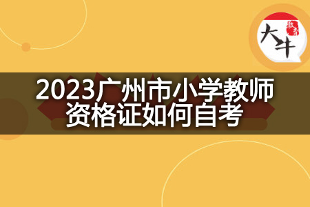 2023广州市小学教师资格证自考