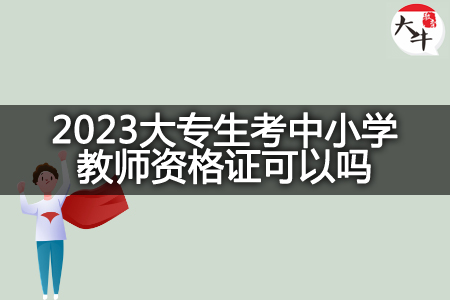 2023大专生考中小学教师资格证