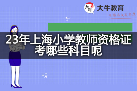 23年上海小学教师资格证科目