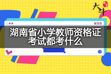 湖南省小学教师资格证考试