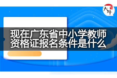 广东省中小学教师资格证报名条件