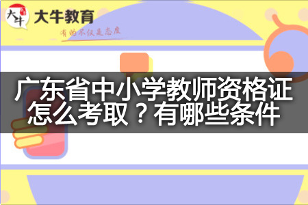 广东省中小学教师资格证条件