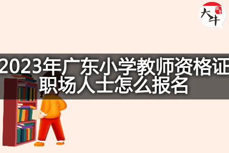 2023年广东小学教师资格证职场人士