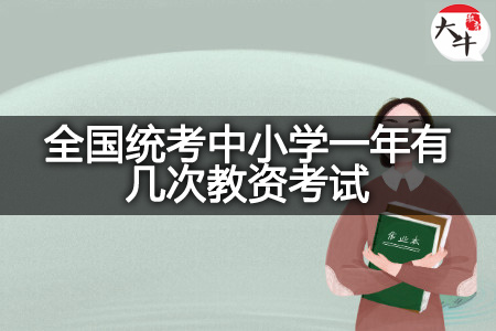 全国统考中小学教资考试