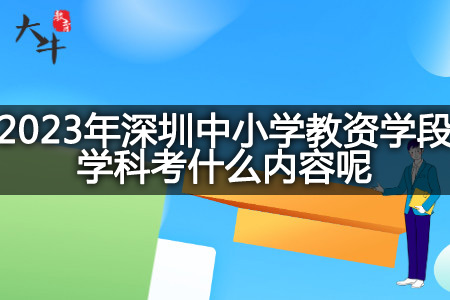 2023年深圳中小学教资学段学科