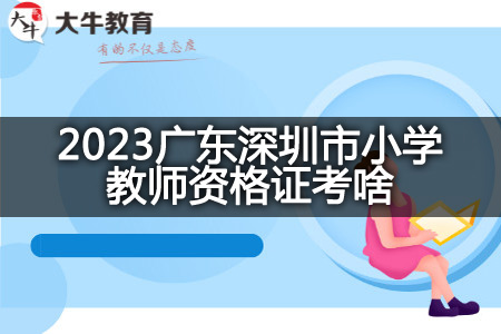 2023广东深圳市小学教师资格证