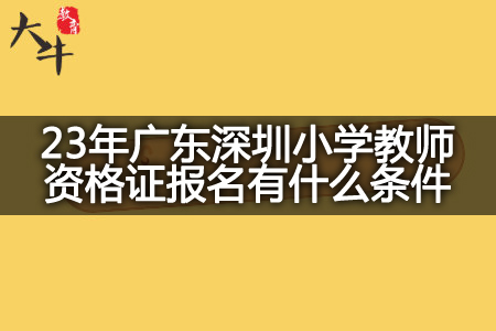 23年广东深圳小学教师资格证报名