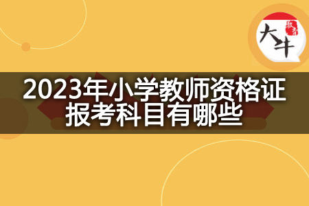 2023年小学教师资格证报考科目