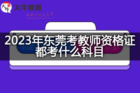 2023年东莞考教师资格证科目