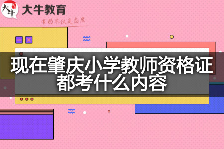 肇庆小学教师资格证