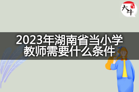 2023年湖南省当小学教师条件
