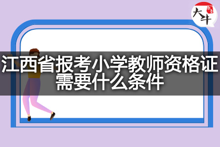 江西省报考小学教师资格证条件