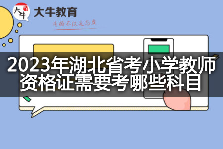 2023年湖北省考小学教师资格证