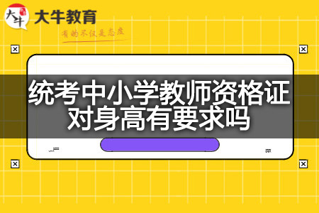 统考中小学教师资格证考试