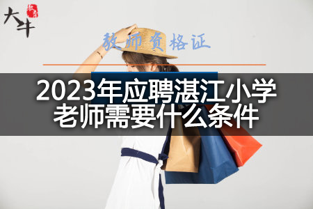 2023年应聘湛江小学老师条件