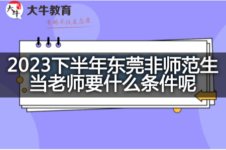 2023下半年东莞非师范生当老师条件