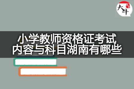 小学教师资格证考试内容与科目湖南