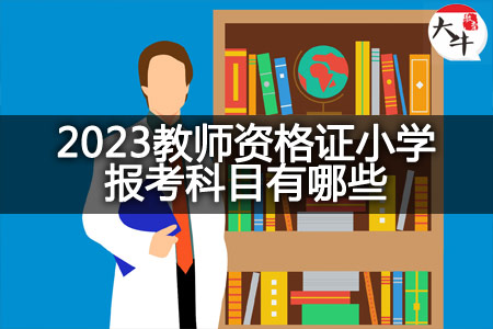 2023教师资格证小学报考科目