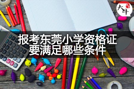 报考东莞小学资格证