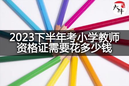 2023下半年考小学教师资格证费用