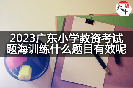 2023广东小学教资考试