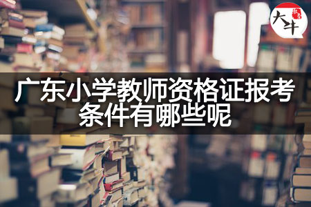 广东小学教师资格证报考条件