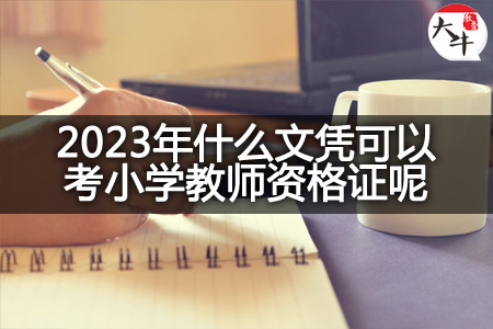 2023年文凭考小学教师资格证