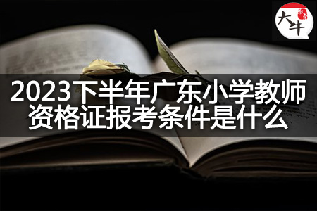 广东小学教师资格证报考条件