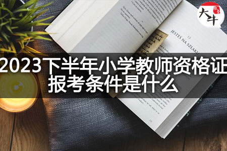 小学教师资格证报考条件