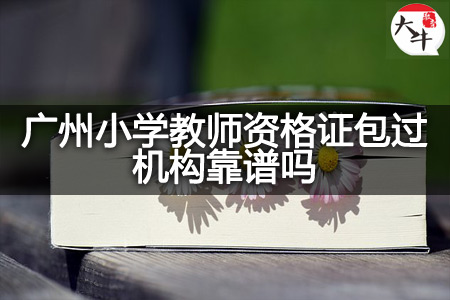 广州小学教师资格证包过机构