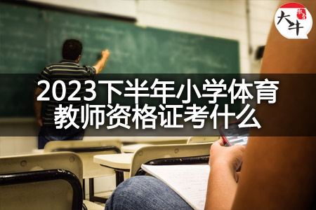 2023下半年小学体育教师资格证