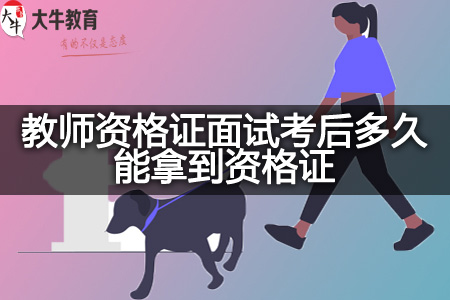 教师资格证面试考资格证