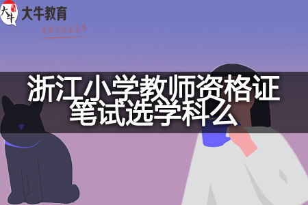 小学教师资格证笔试学科