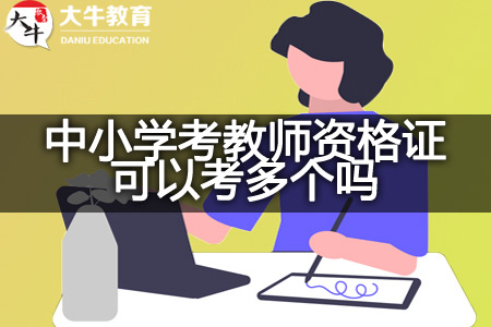 广东中小学考教师资格证