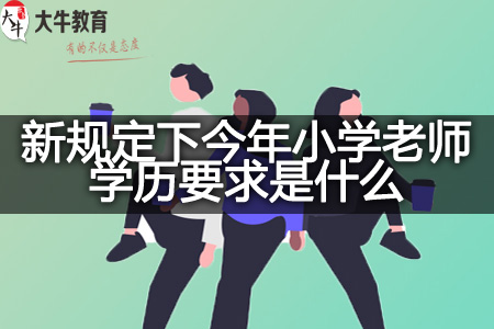 新规定下今年小学老师学历要求