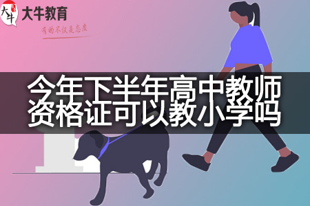 高中教师资格证教小学