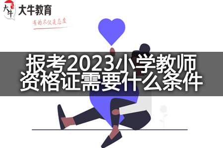 报考2023小学教师资格证条件