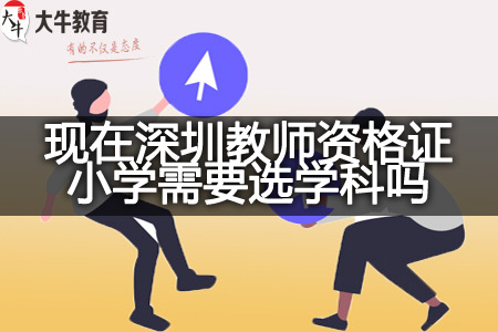 深圳教师资格证小学选学科