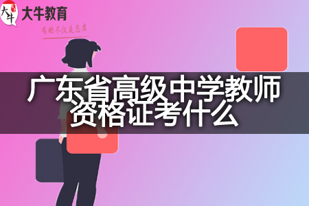 2023广东省高级中学教师资格证