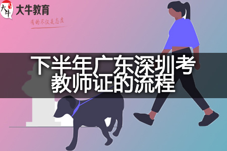 下半年广东深圳考教师证的流程