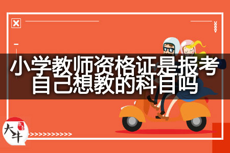 浙江小学教师资格证报考