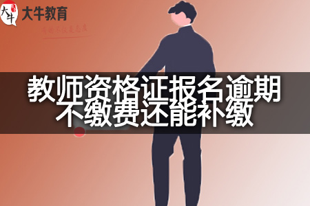 教师资格证报名缴费