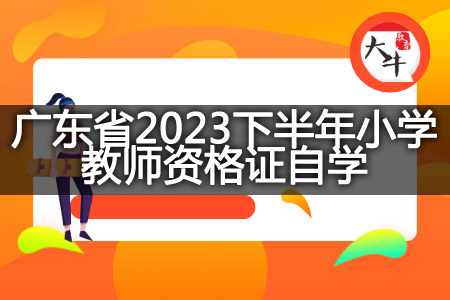 广东省2023下半年小学教师资格证自学